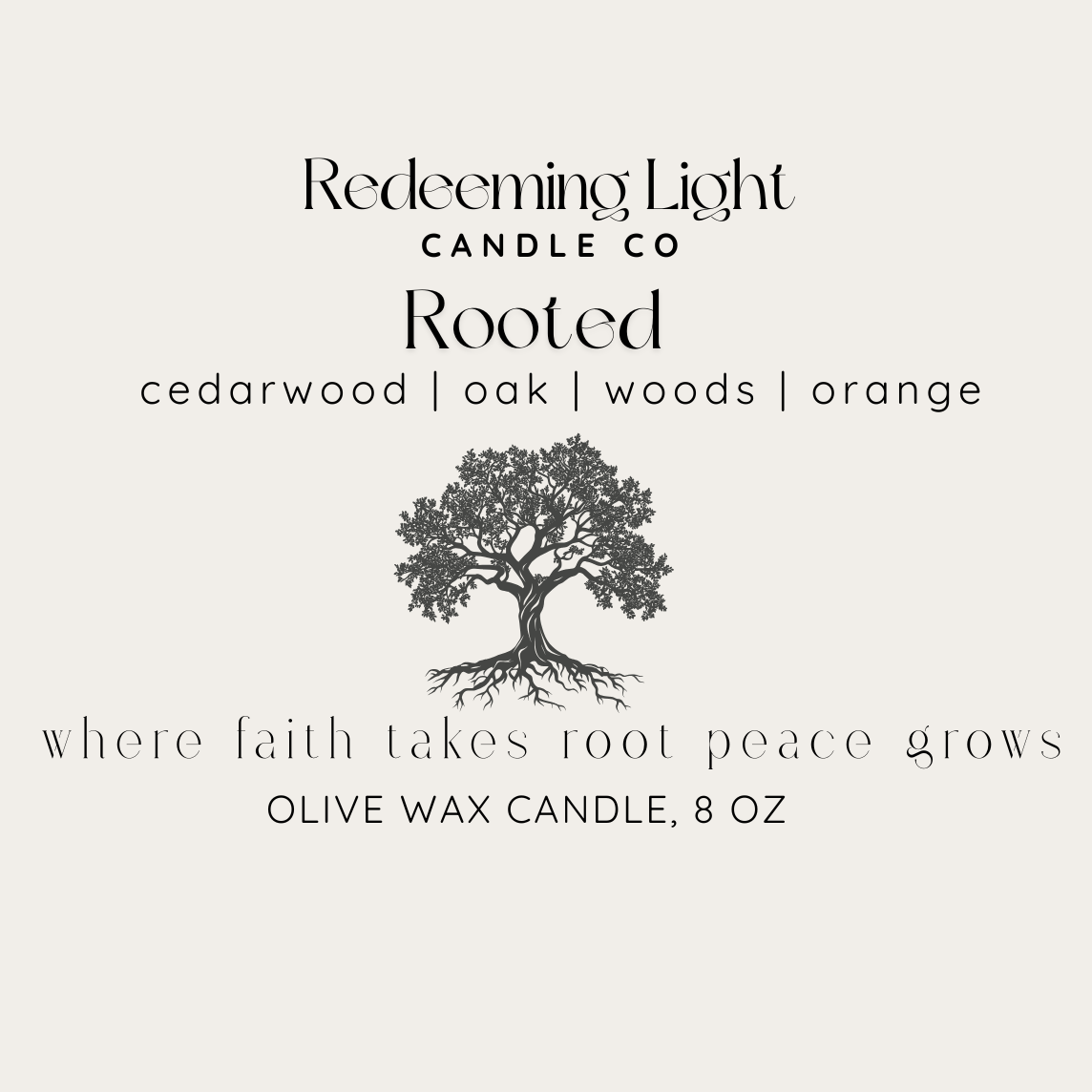 Signature Collection: Rooted Concrete Jar 8oz